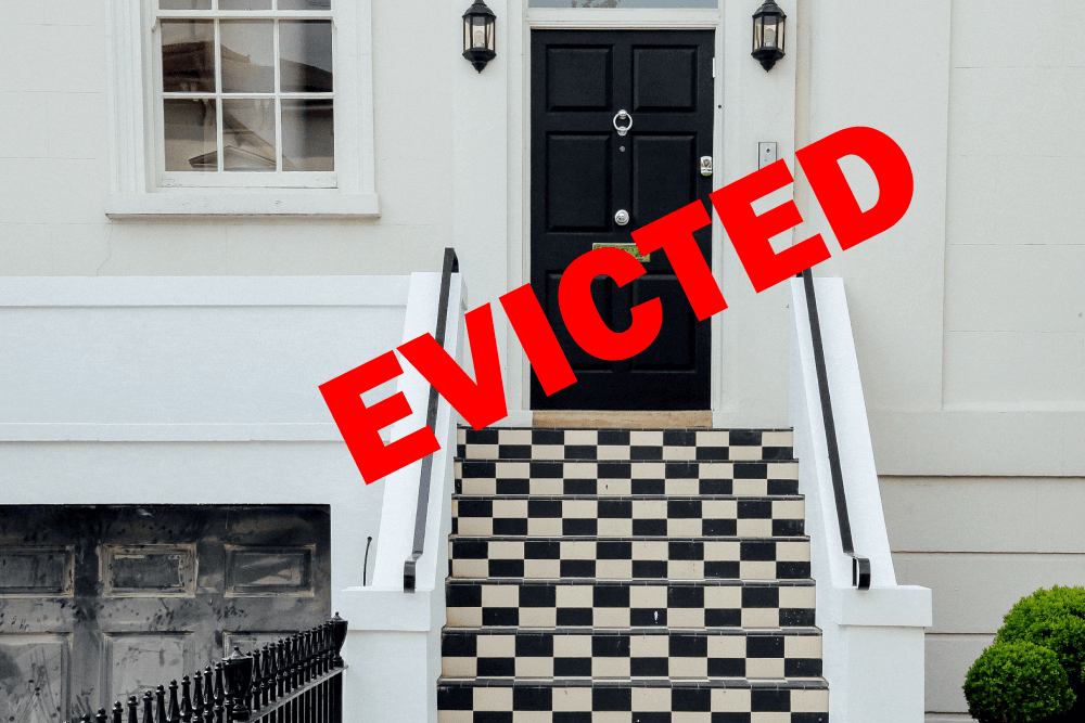 eviction reports
